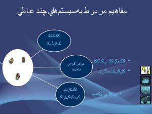 سيستم چندعاملي